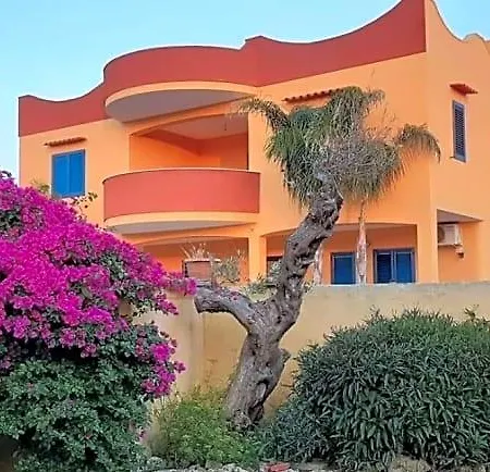 Terra E Colori 3*