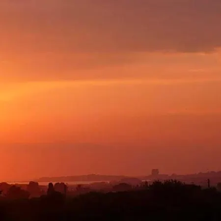 Terra E Colori